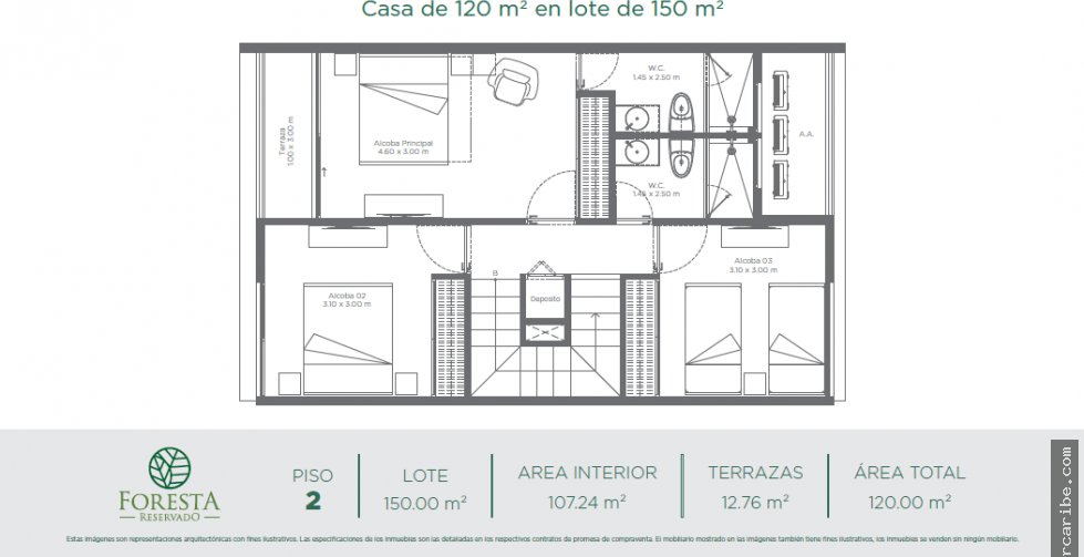 Foresta Reservado, Punta Canoa