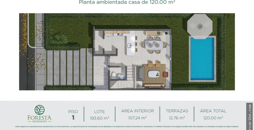 Foresta Reservado, Punta Canoa