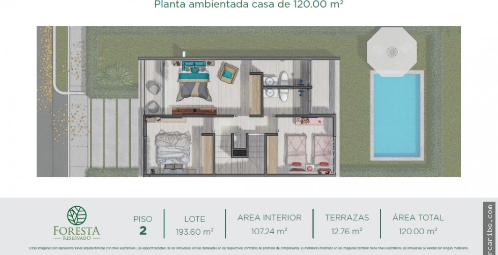 Foresta Reservado, Punta Canoa