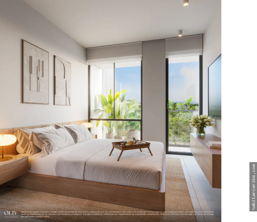 OLIV Cartagena – foto 3