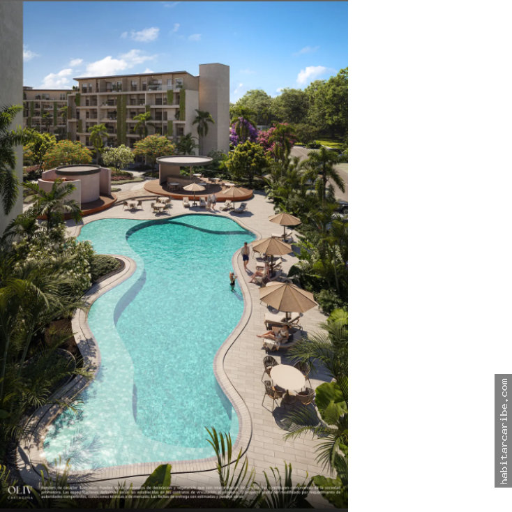 OLIV Cartagena – foto 8